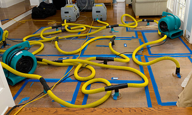 Professional Crawl Space Water Removal technician working in Oshkosh, WI